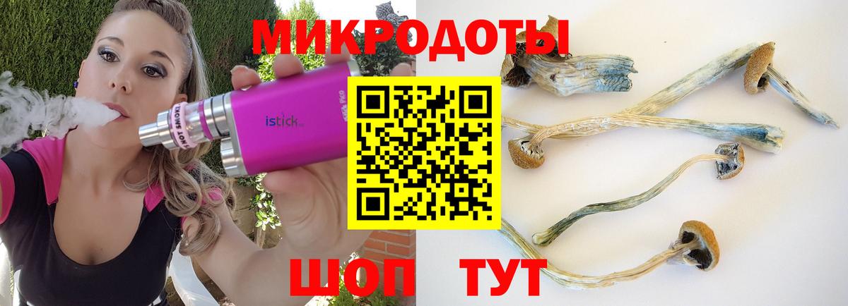 Галлюциногенные грибы мухоморы  где купить наркотик  Снежинск  Вход с VPN 